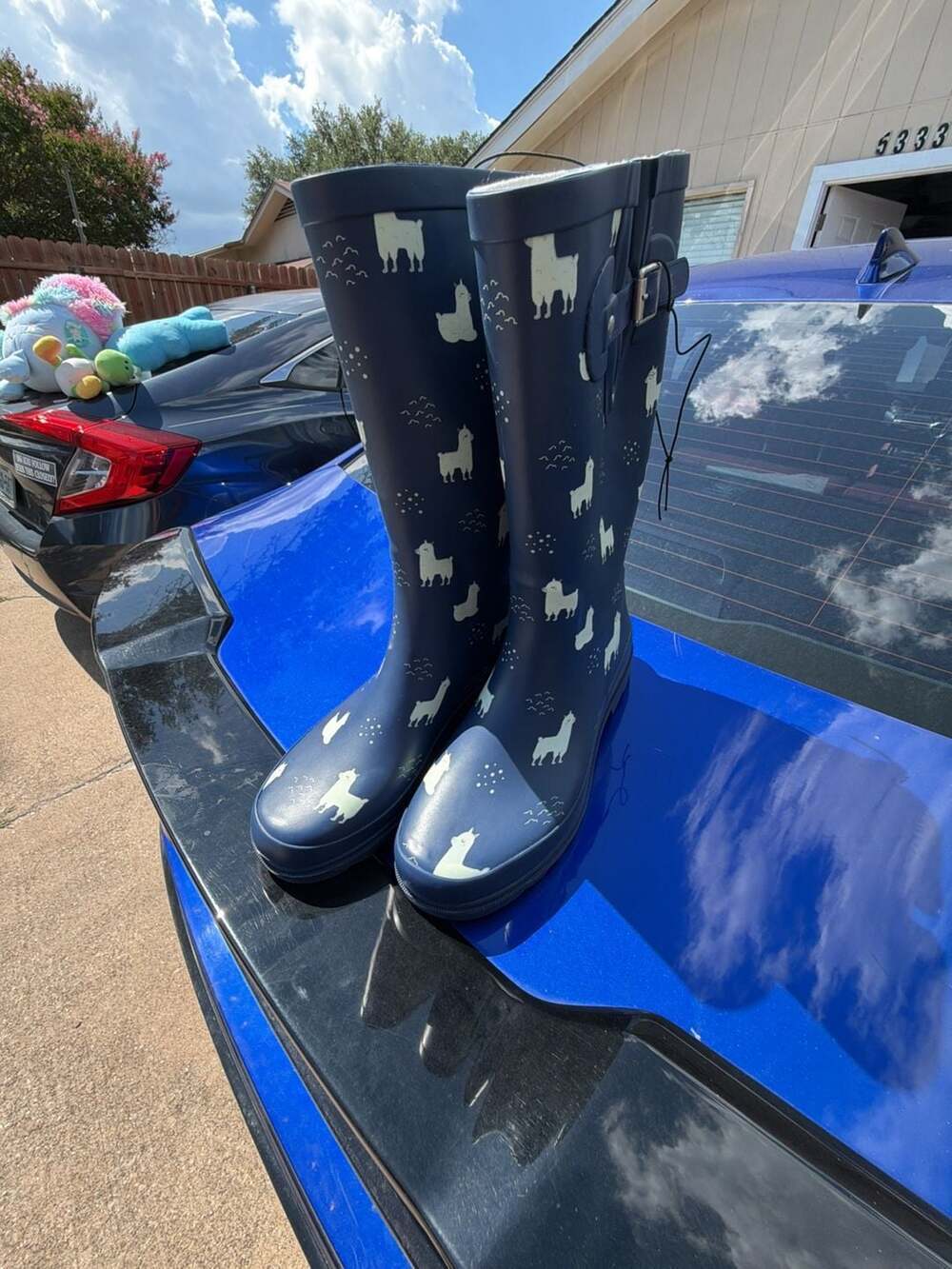 Women's Llama-Rama Tall Rain Boot - Navy – ,